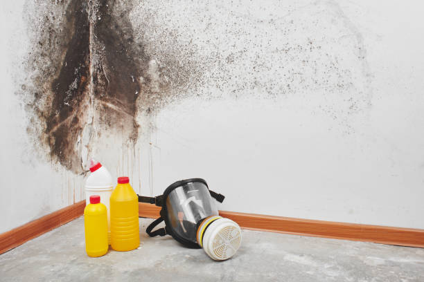 Best Mold Remediation  in Bunker Hill, OR
