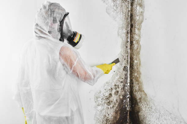 Best Mold Testing  in Bunker Hill, OR