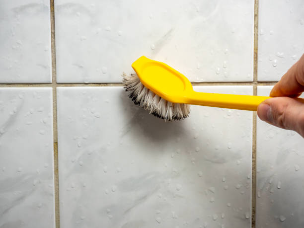 Best Best Mold Removal Companies  in Bunker Hill, OR