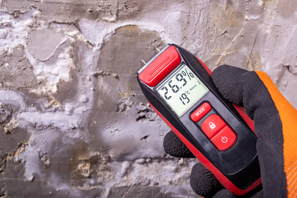 Best Black Mold Removal  in Bunker Hill, OR