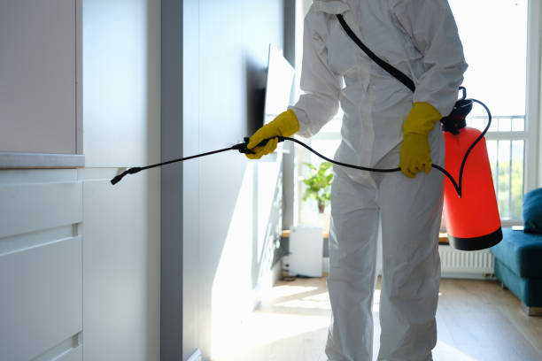 Best Professional Mold Removal  in Bunker Hill, OR
