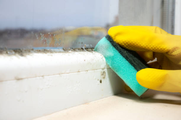  Bunker Hill, OR Mold Removal Pros