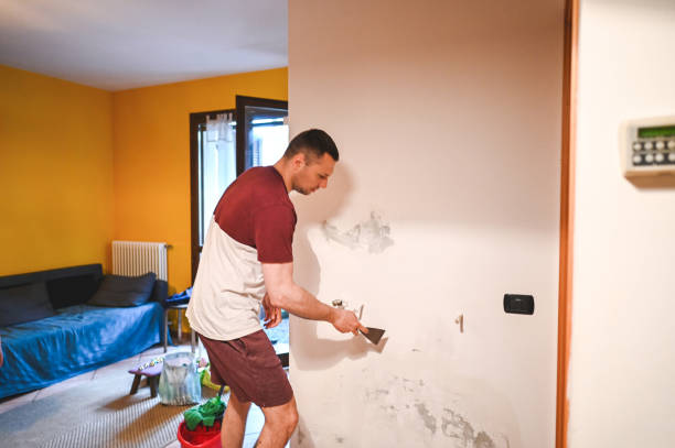 Best Office Mold Removal Services  in Bunker Hill, OR