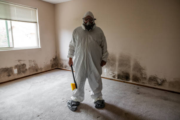 Attic Mold Removal in Bunker Hill, OR