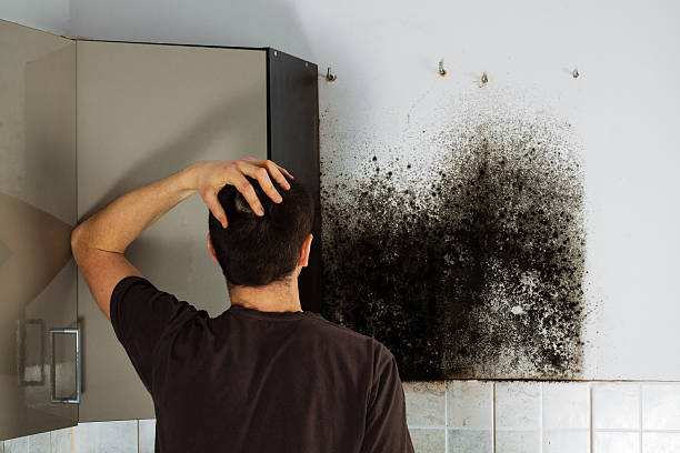 Best Crawl Space Mold Removal  in Bunker Hill, OR