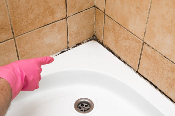 Bunker Hill, OR Mold Removal Company